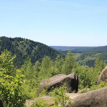 Holiday home Im Harz, Cleaning Included Lonau