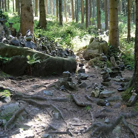 Im Harz, Cleaning Included * Lonau