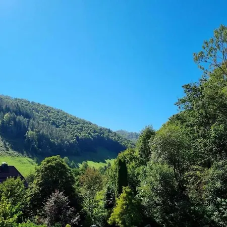 Holiday home Im Harz, Cleaning Included Lonau