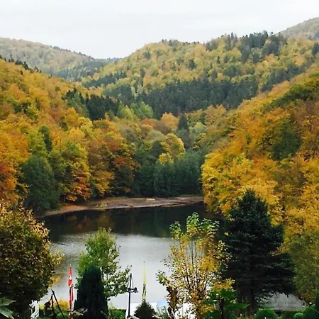 Im Harz, Cleaning Included Holiday home Lonau