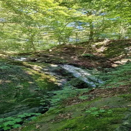 Im Harz, Cleaning Included Feriehus Lonau